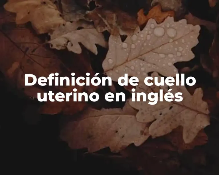 Definición de cuello uterino en inglés