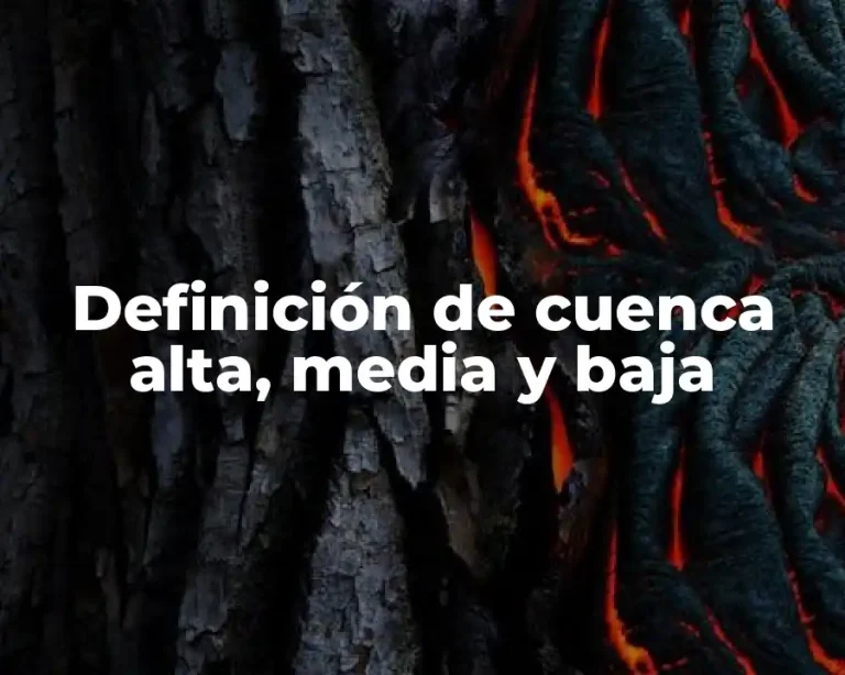 Definición de cuenca alta, media y baja