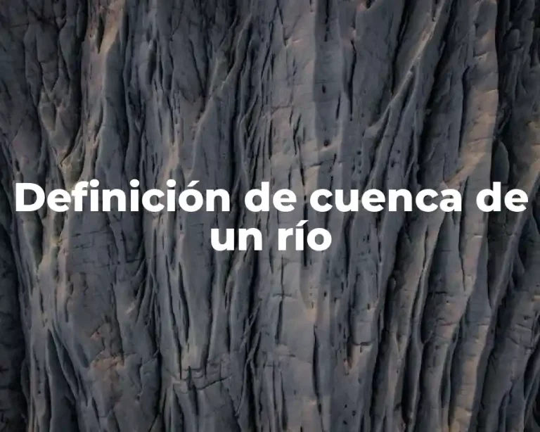 Definición de cuenca de un río