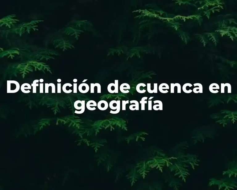 Definición de cuenca en geografía