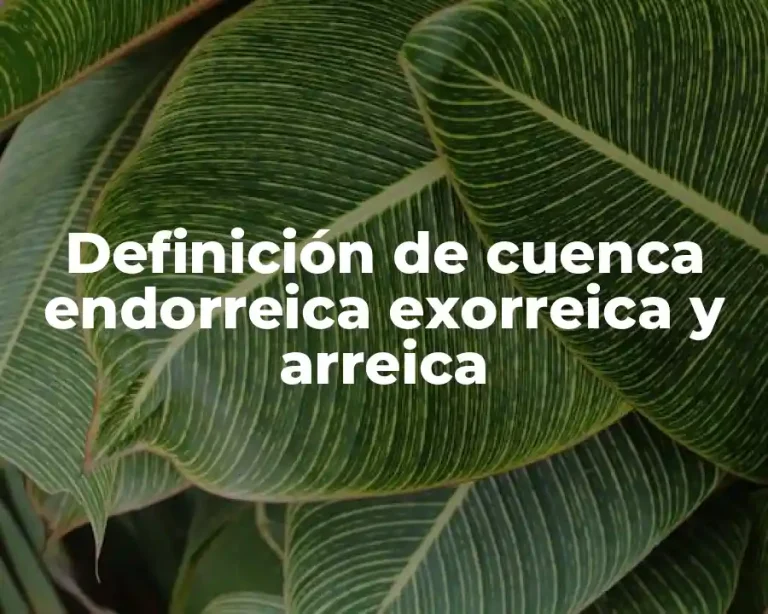 Definición de cuenca endorreica exorreica y arreica