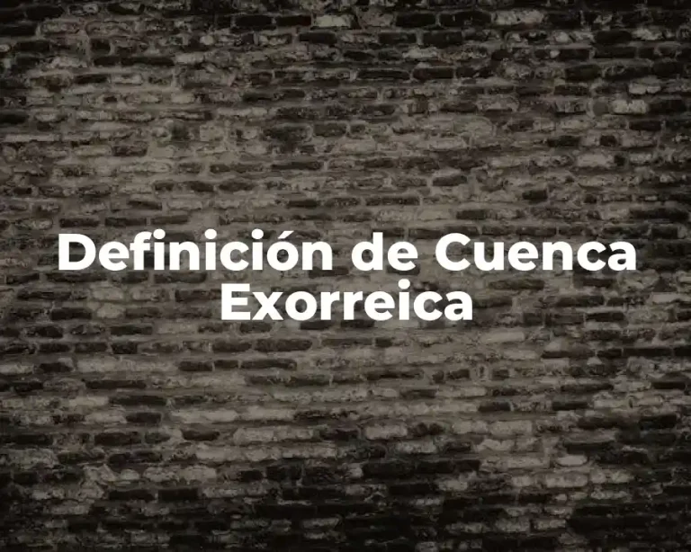Definición de Cuenca Exorreica