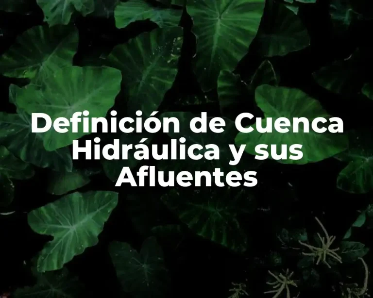 Definición de Cuenca Hidráulica y sus Afluentes