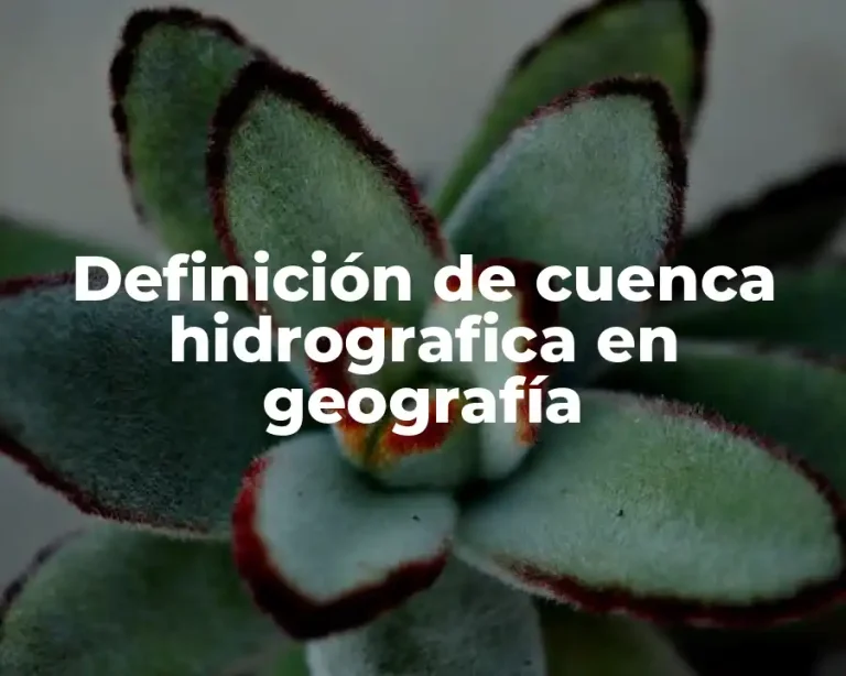 Definición de cuenca hidrografica en geografía
