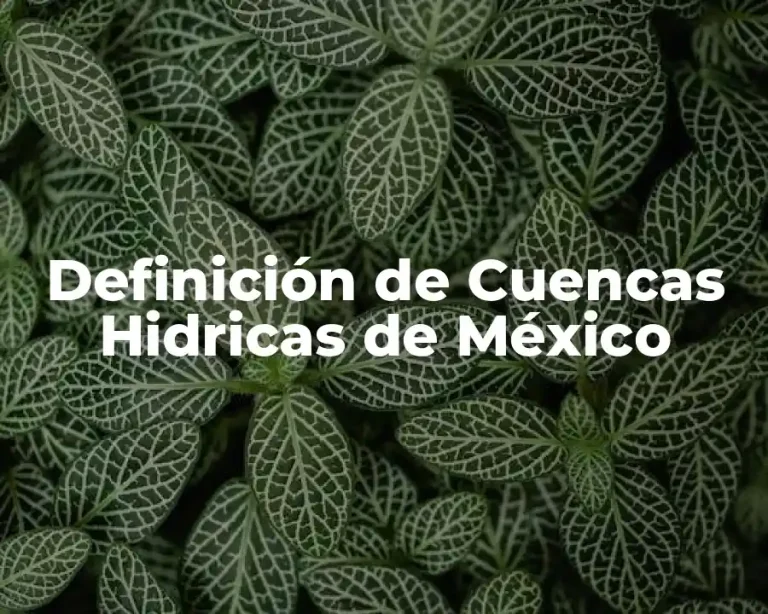 Definición de Cuencas Hidricas de México