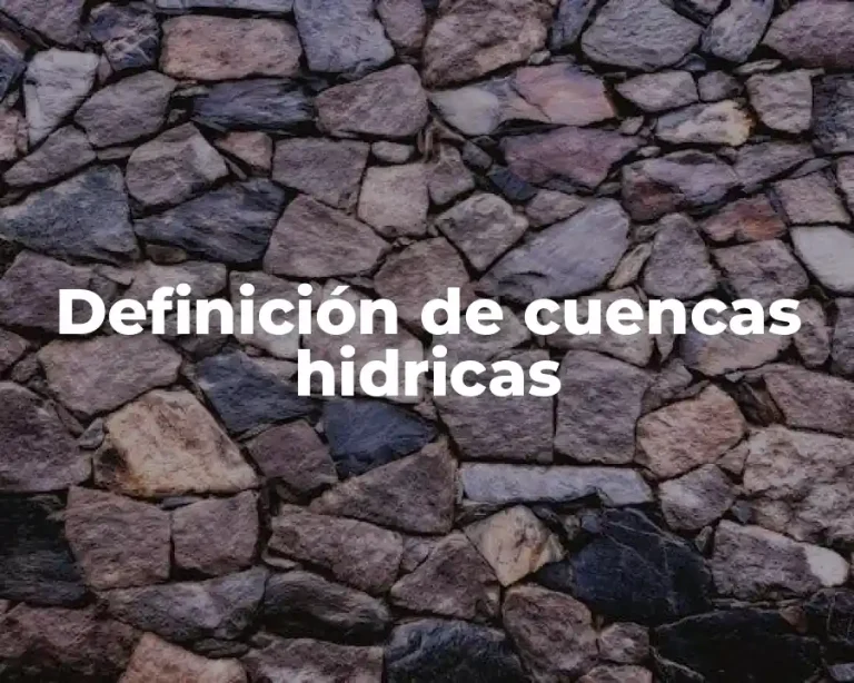 Definición de cuencas hidricas