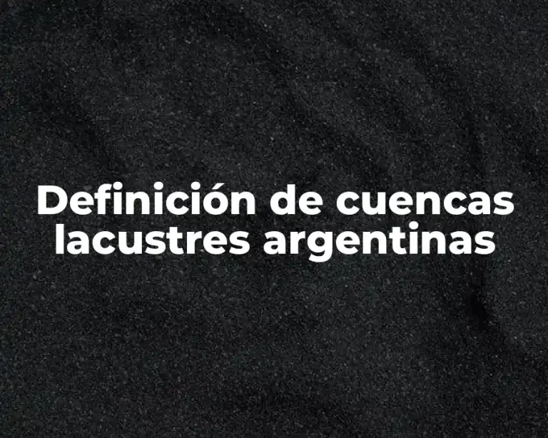 Definición de cuencas lacustres argentinas
