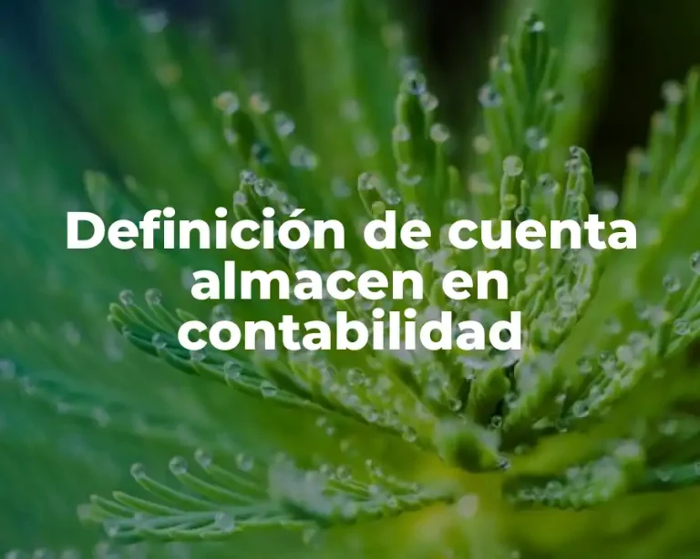 Definición de cuenta almacen en contabilidad