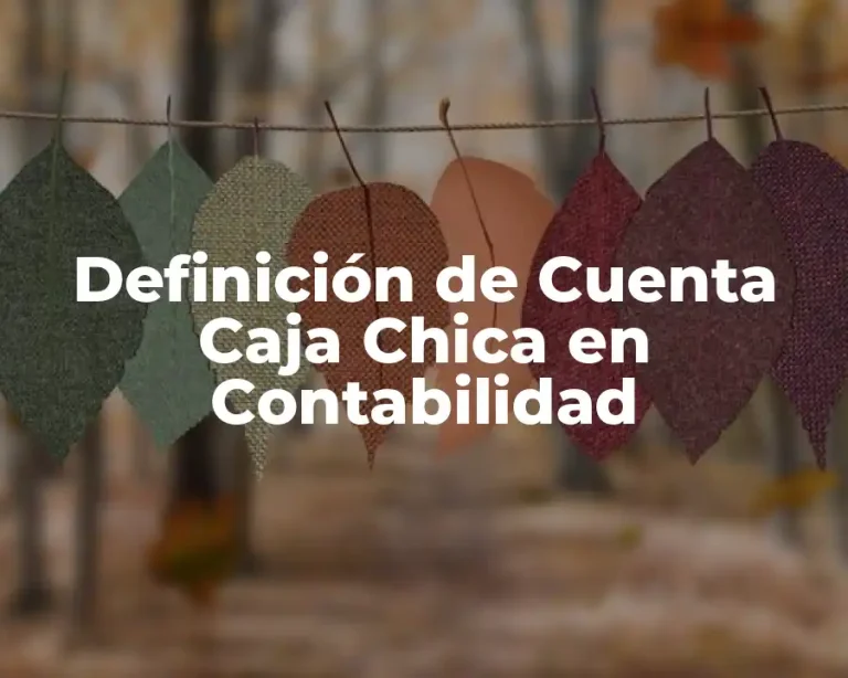 Definición de Cuenta Caja Chica en Contabilidad