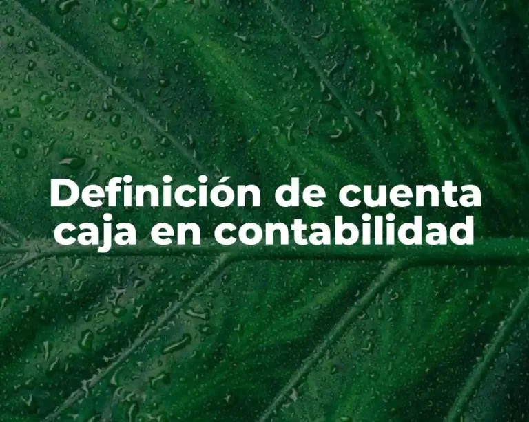 Definición de cuenta caja en contabilidad