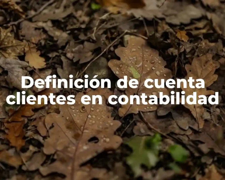 Definición de cuenta clientes en contabilidad