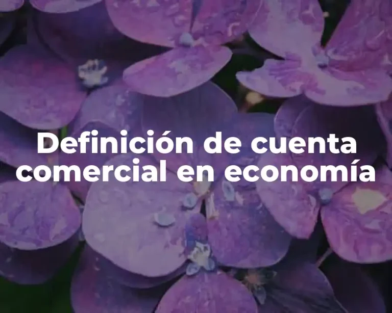 Definición de cuenta comercial en economía