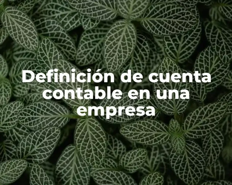 Definición de cuenta contable en una empresa