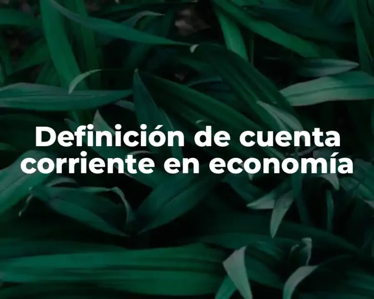 Definición de cuenta corriente en economía