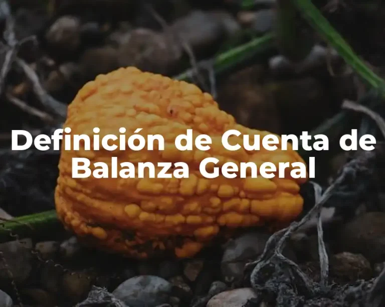 Definición de Cuenta de Balanza General