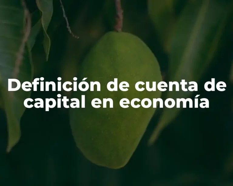 Definición de cuenta de capital en economía