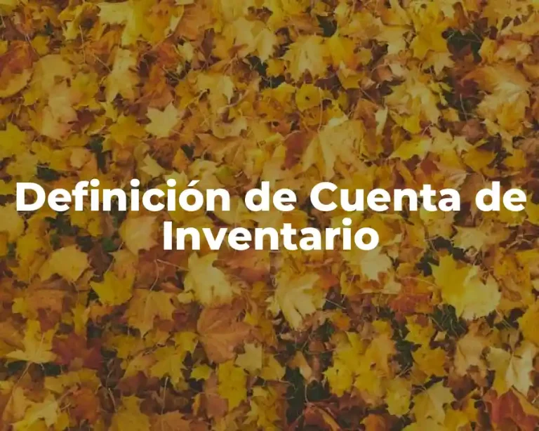 Definición de Cuenta de Inventario