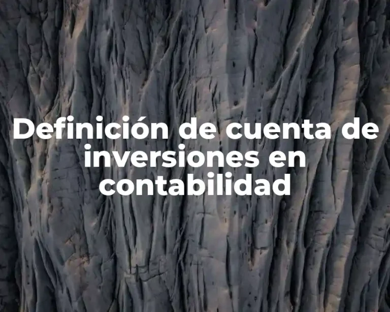 Definición de cuenta de inversiones en contabilidad