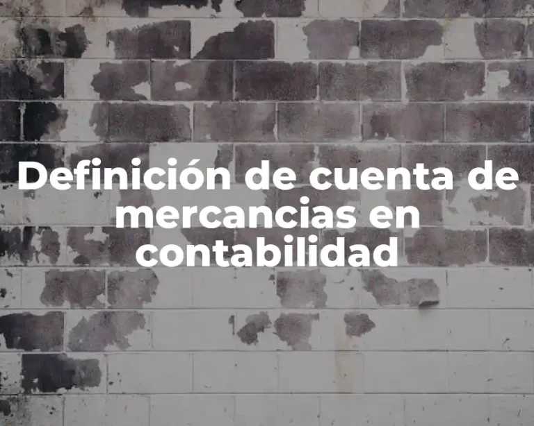 Definición de cuenta de mercancias en contabilidad