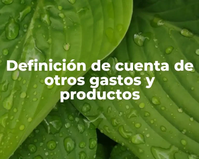 Definición de cuenta de otros gastos y productos