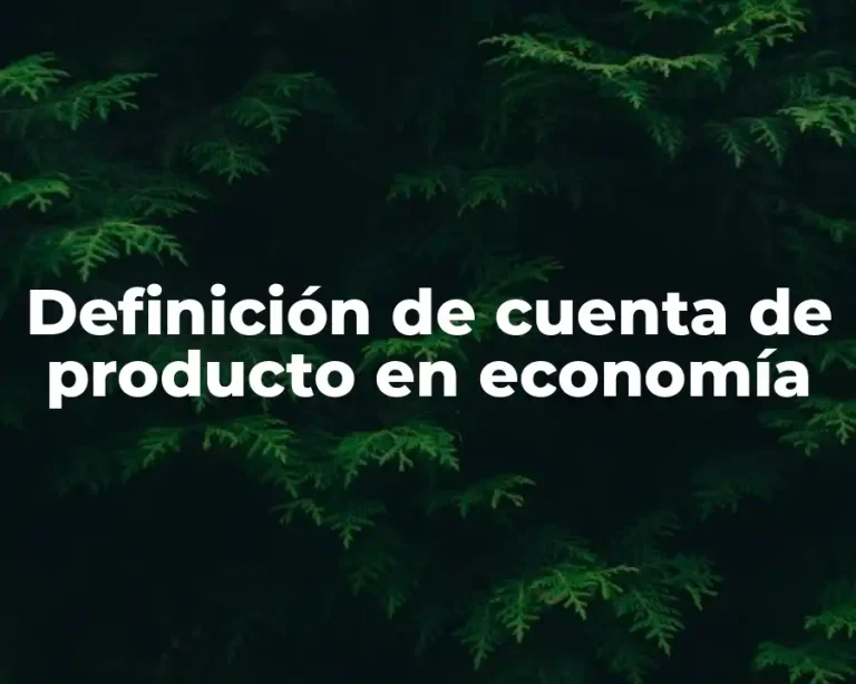Definición de cuenta de producto en economía