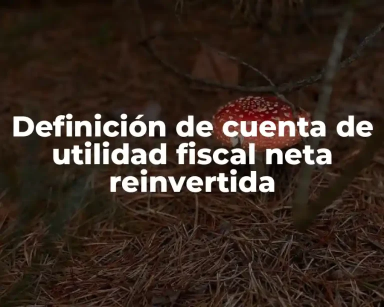 Definición de cuenta de utilidad fiscal neta reinvertida
