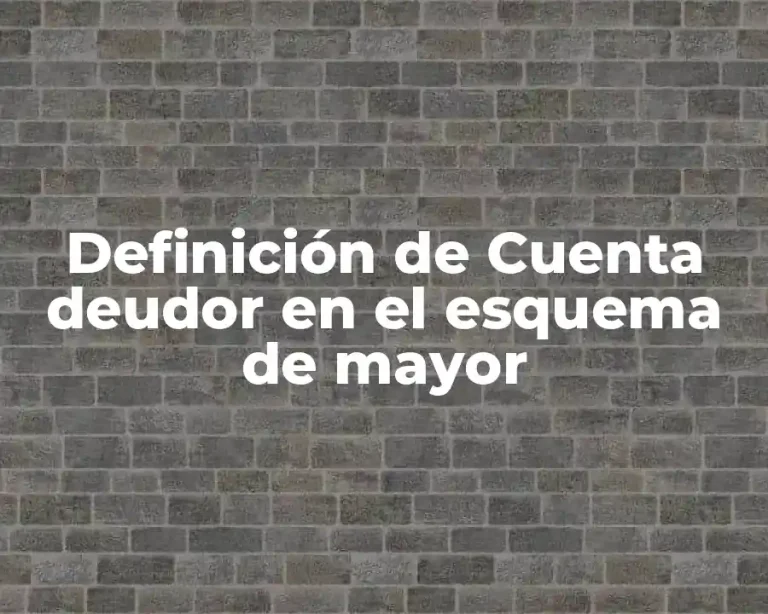 Definición de Cuenta deudor en el esquema de mayor