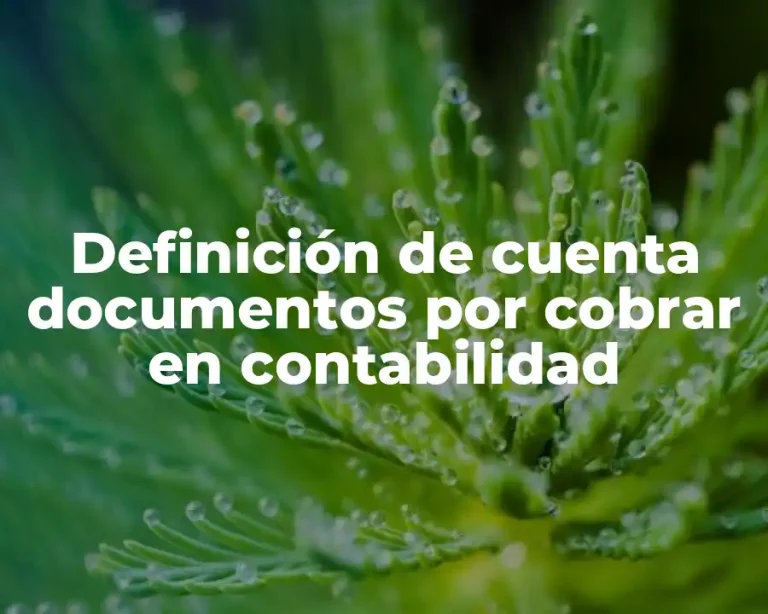 Definición de cuenta documentos por cobrar en contabilidad