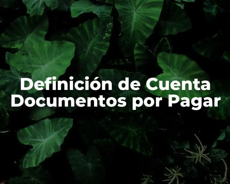 Definición de Cuenta Documentos por Pagar