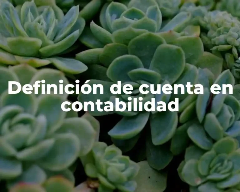 Definición de cuenta en contabilidad