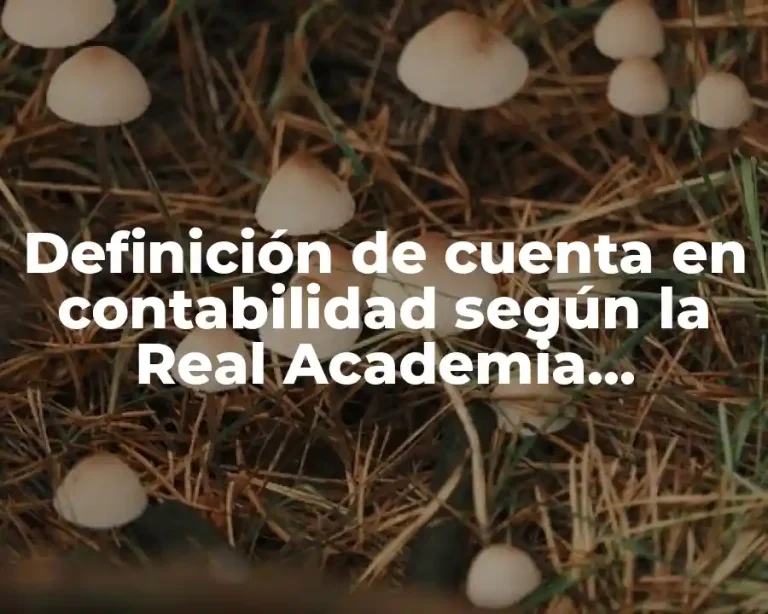 Definición de cuenta en contabilidad según la Real Academia Española