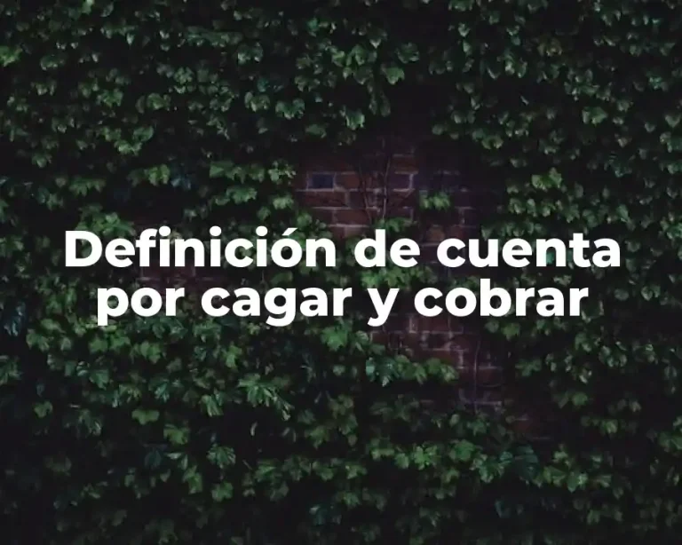 Definición de cuenta por cagar y cobrar