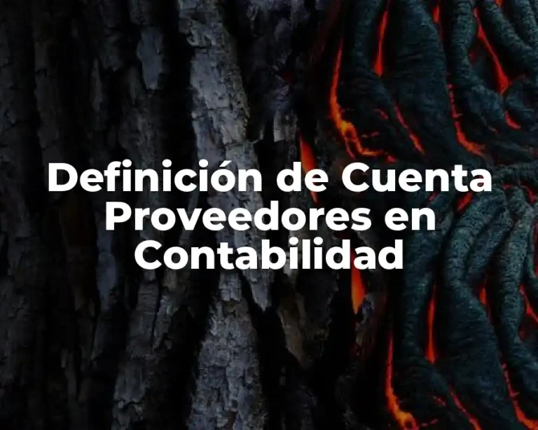 Definición de Cuenta Proveedores en Contabilidad