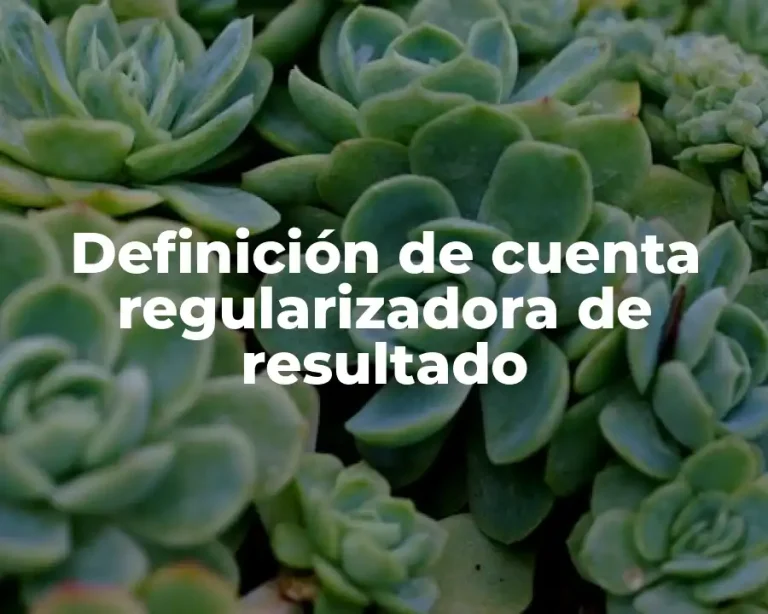 Definición de cuenta regularizadora de resultado