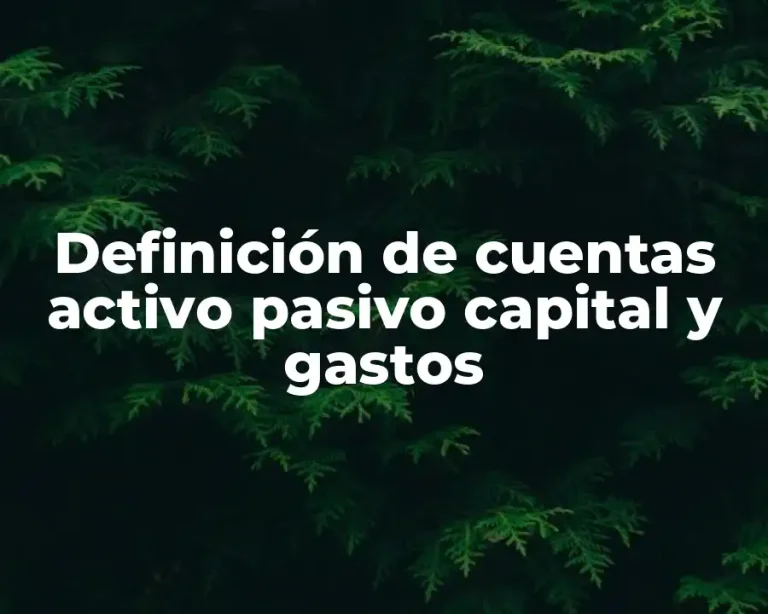 Definición de cuentas activo pasivo capital y gastos