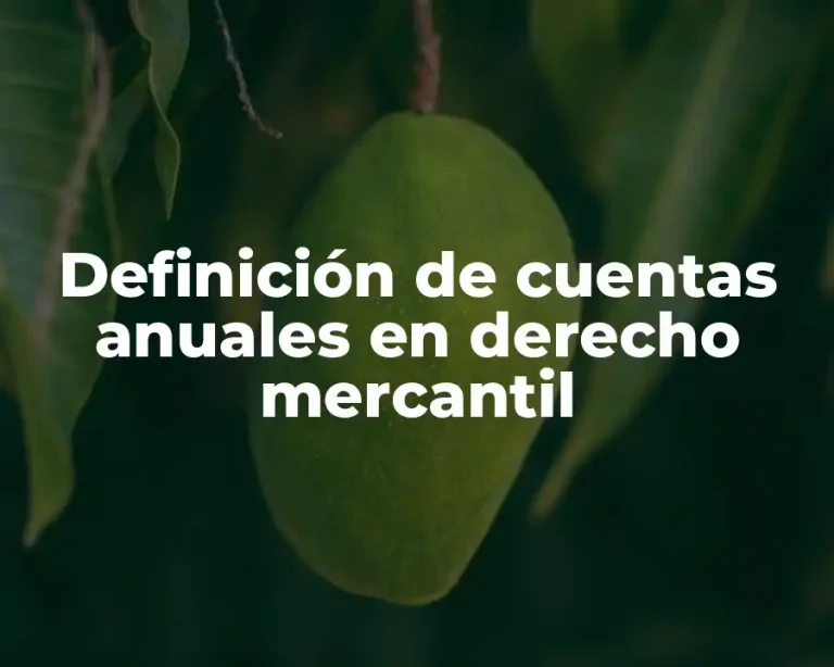 Definición de cuentas anuales en derecho mercantil