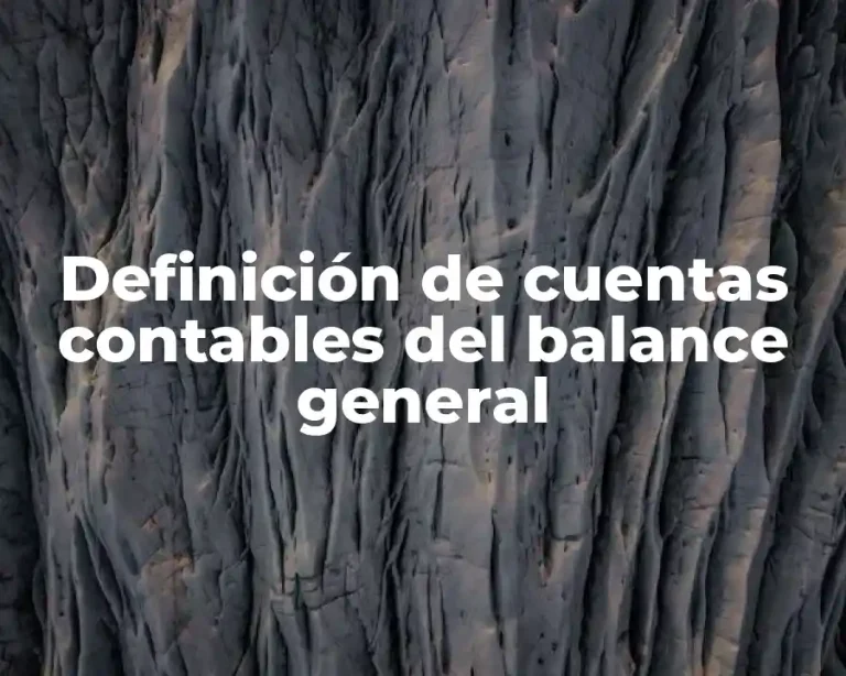 Definición de cuentas contables del balance general