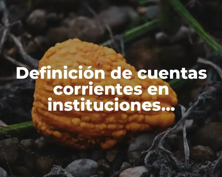 Definición de cuentas corrientes en instituciones financieras
