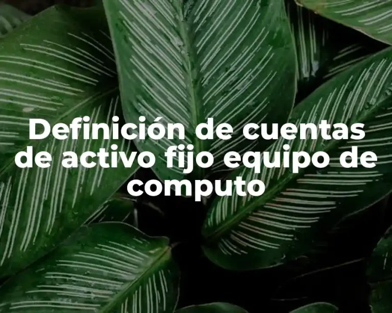 Definición de cuentas de activo fijo equipo de computo