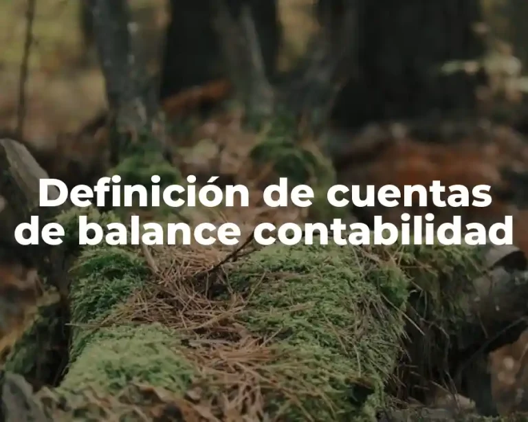 Definición de cuentas de balance contabilidad