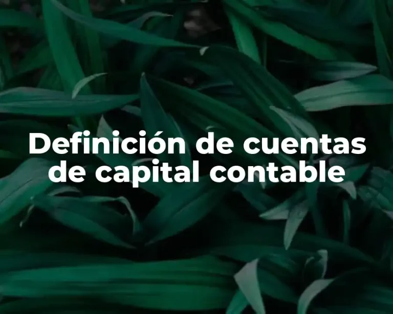 Definición de cuentas de capital contable