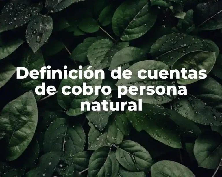 Definición de cuentas de cobro persona natural