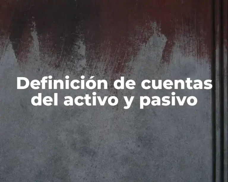 Definición de cuentas del activo y pasivo