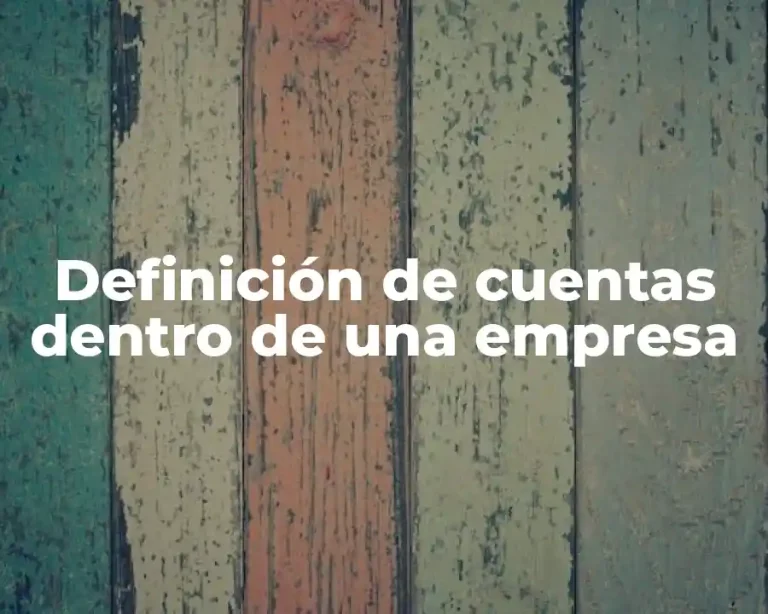 Definición de cuentas dentro de una empresa