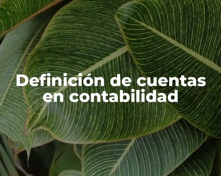 Definición de cuentas en contabilidad