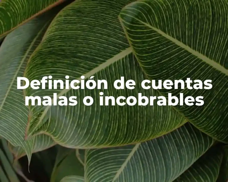 Definición de cuentas malas o incobrables