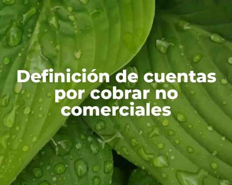 Definición de cuentas por cobrar no comerciales