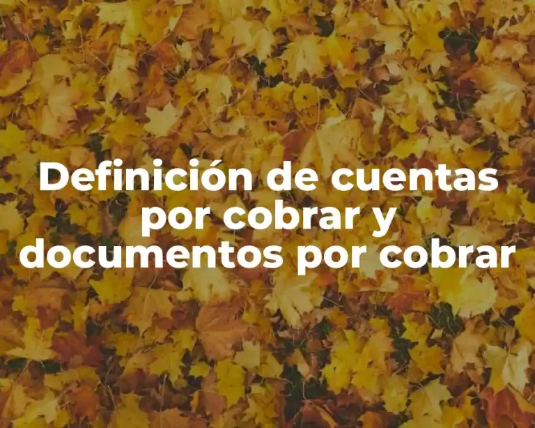 Definición de cuentas por cobrar y documentos por cobrar