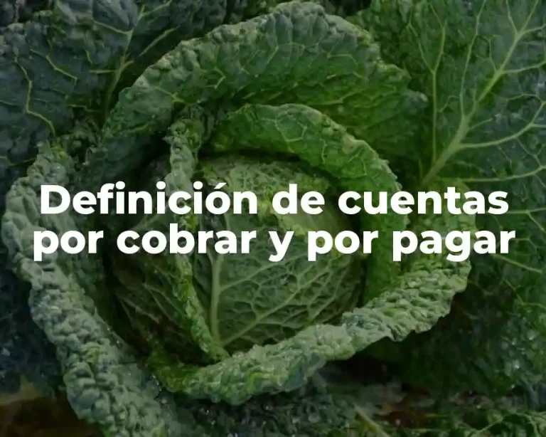 Definición de cuentas por cobrar y por pagar