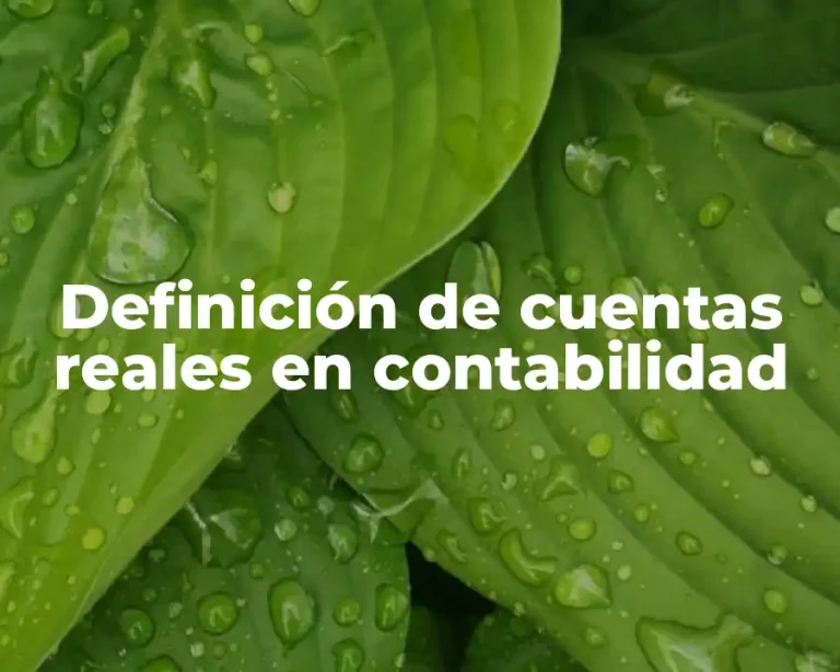 Definición de cuentas reales en contabilidad